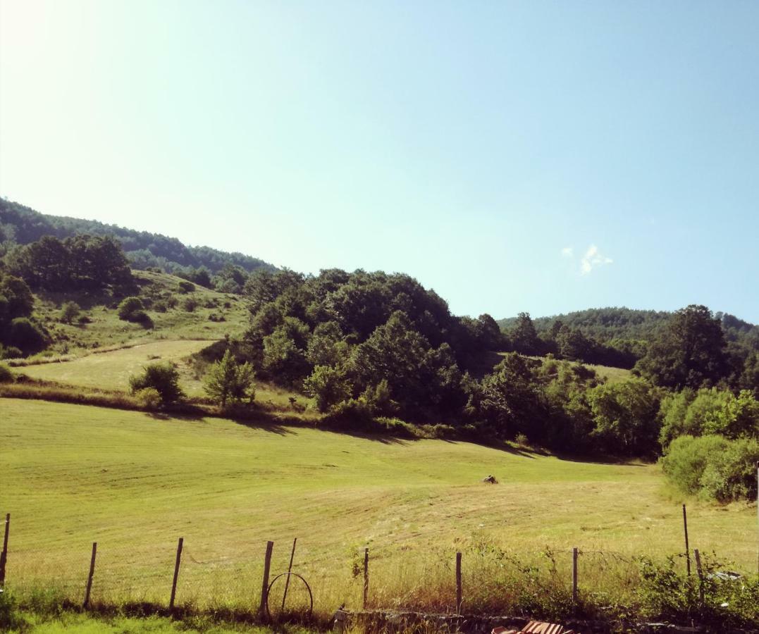 Agriturismo Acquagentile テッラノーヴァ・ディ・ポッリーノ エクステリア 写真